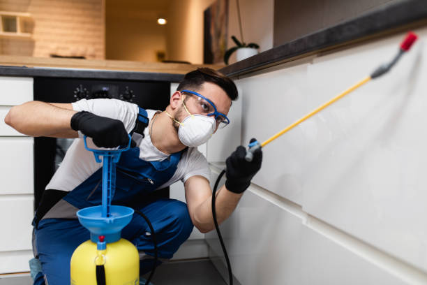 Best Best Pest Control Companies  in Pensacola, FL