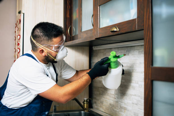 Best Commercial Pest Control Services  in Pensacola, FL