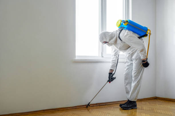 Best Pest Control for Homes  in Pensacola, FL