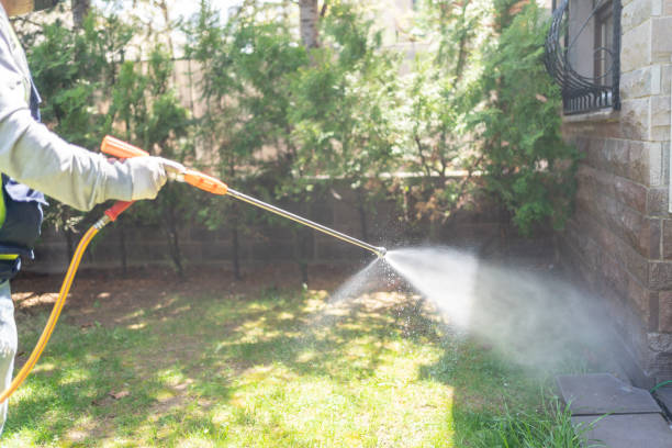 Best Best Pest Control Companies  in Pensacola, FL