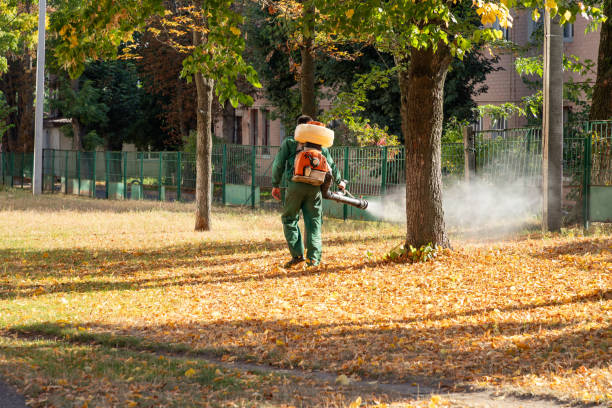 Best Mosquito Control Services  in Pensacola, FL