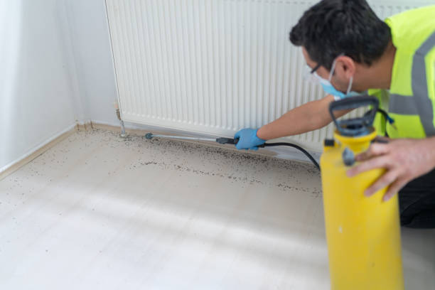 Reliable Pensacola, FL Pest Control Solutions