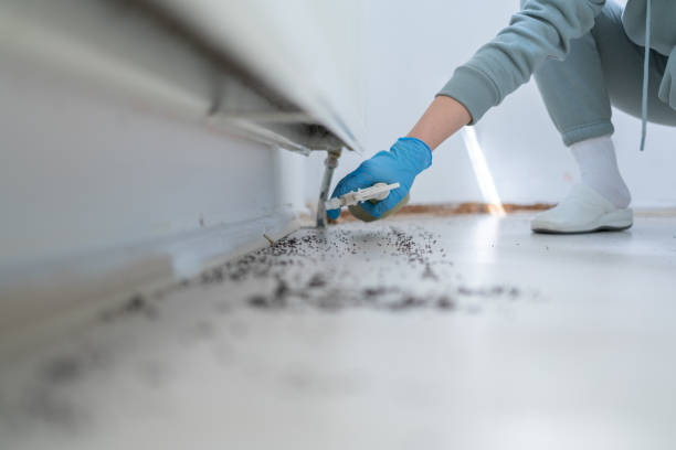 Bird Control in Pensacola, FL