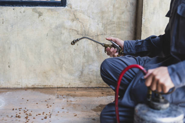 Best Termite Control Services  in Pensacola, FL